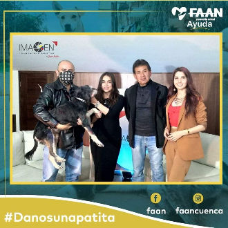 vounteer to help animals in Ecuador
